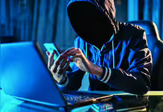 cyber fraud